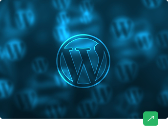 Why WordPress Still Reigns: Power, Flexibility, and Customization